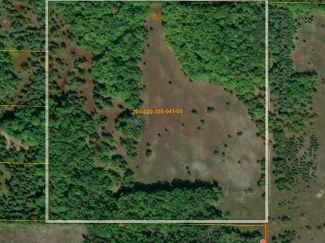 Land for sale in Wolverine, Cheboygan County