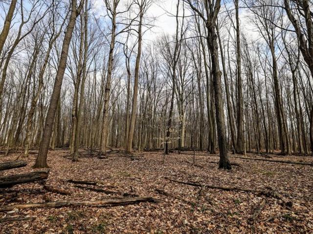 Land for sale in Bloomingdale, Michigan