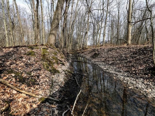 Land for sale in Bloomingdale Township, Van Buren County
