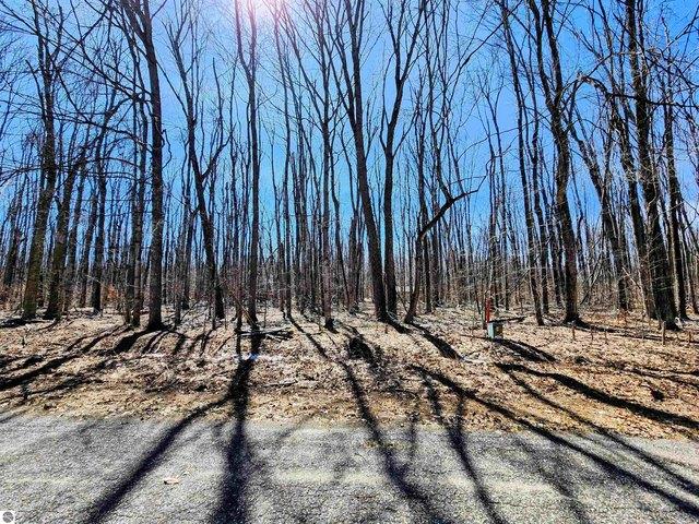 Land for sale in Elmira, Michigan