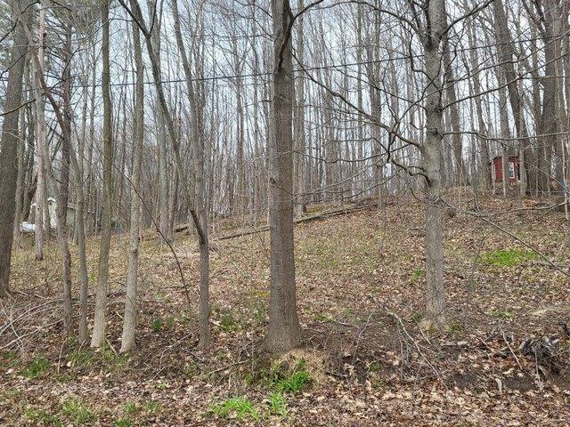 Land for sale in Gobles, Michigan