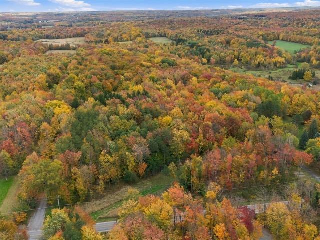 Land for sale in Town of Marilla, Erie County