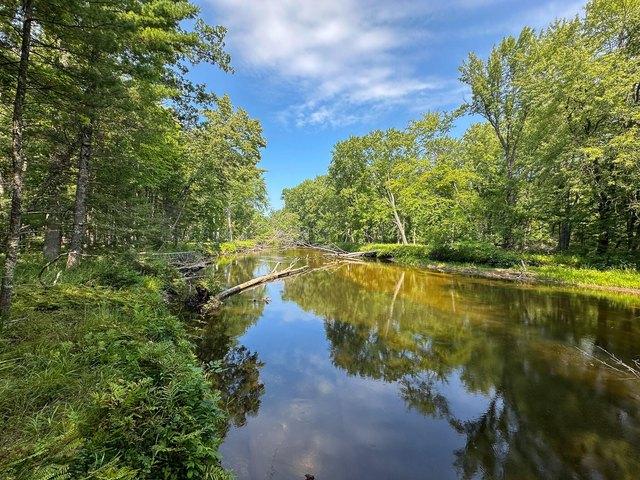 Land for sale in Marion, Michigan