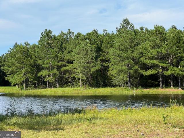 Land for sale in Waverly, Georgia