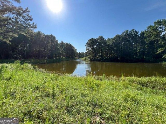 Land for sale in Waverly, Georgia