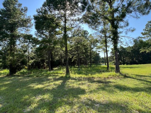 Land for sale in Waverly, Georgia