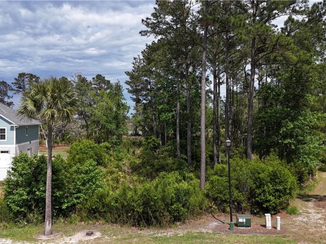 Land for sale in Waverly, Georgia