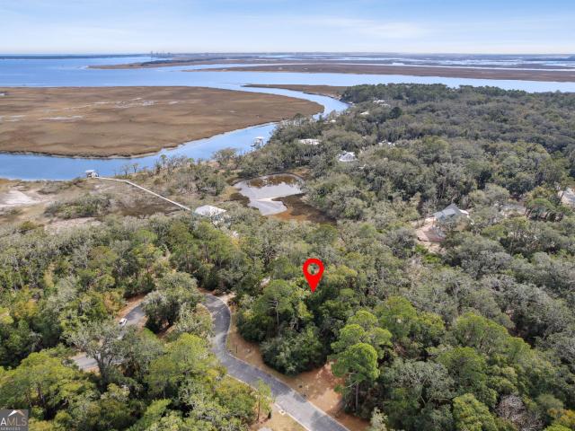 Land for sale in Georgia