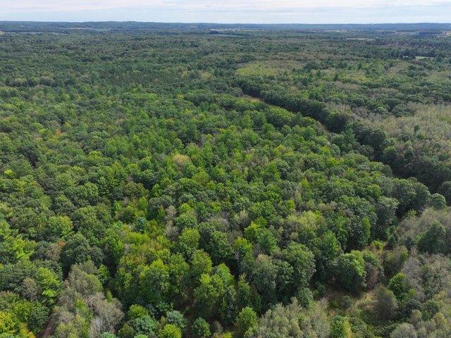 Land for sale in Hart, Oceana County