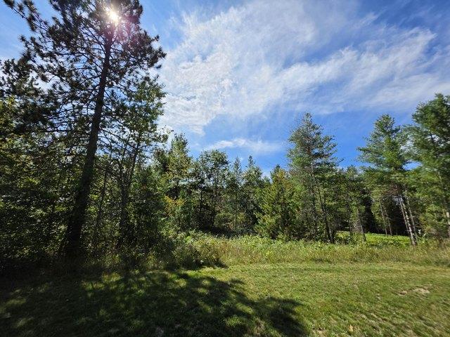Land for sale in Fairview, Comins Township