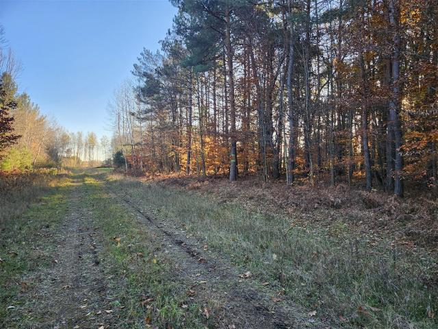 Land for sale in Michigan