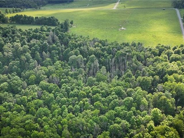 Land for sale in Chemung, New York