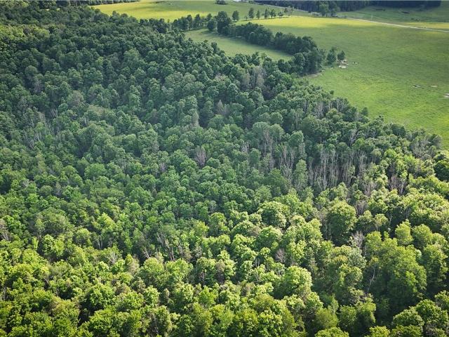 Land for sale in Chemung, New York