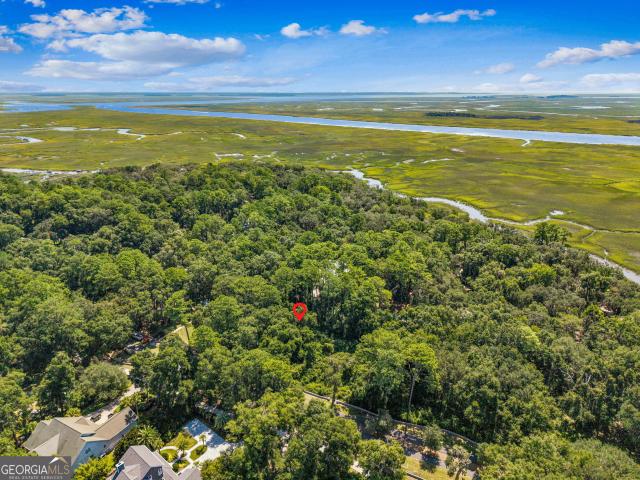 Land for sale in Darien, Georgia