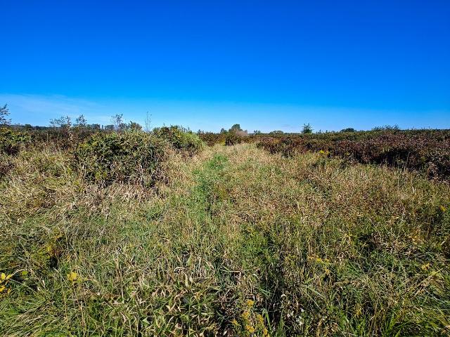Land for sale in Covert, Covert Township