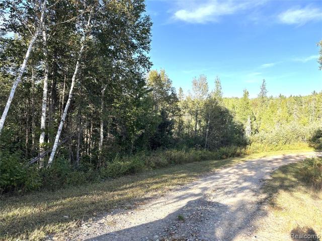 Land for sale in Amasa, Hematite Township