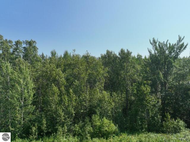 Land for sale in Michigan