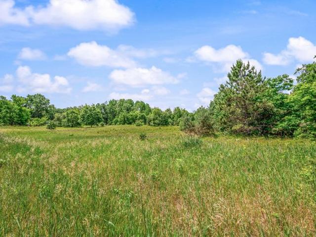 House for sale in Mecosta, Michigan
