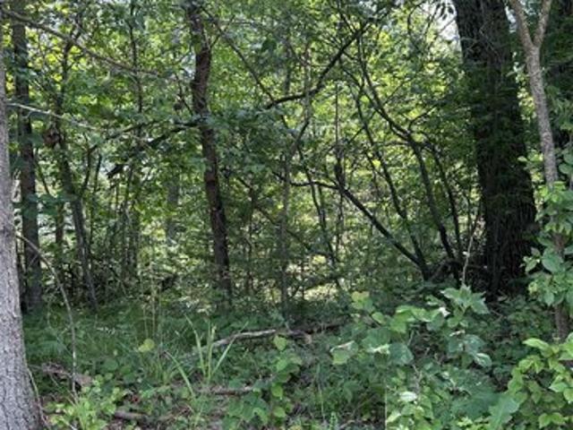 Land for sale in West Branch, Michigan