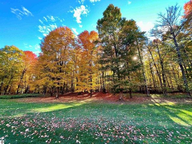 Land for sale in Bellaire, Michigan