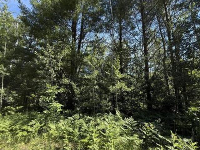 Land for sale in Gaylord, Michigan