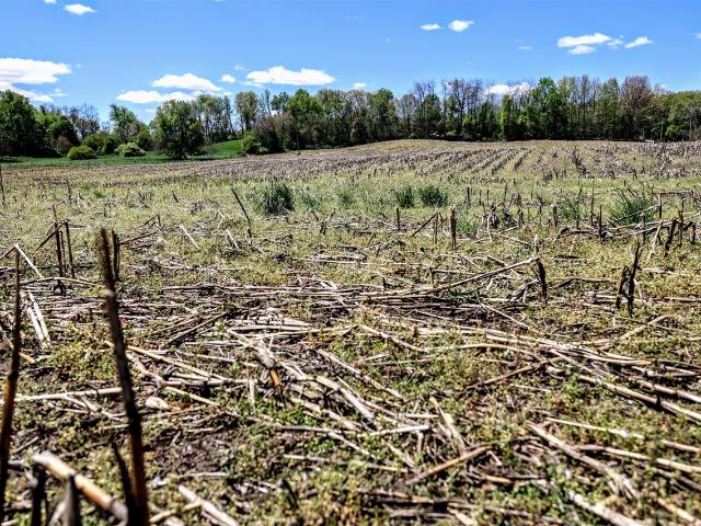 Land for sale in Burlington, Michigan