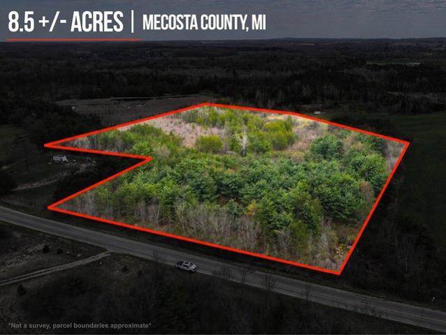 Land for sale in Remus, Michigan