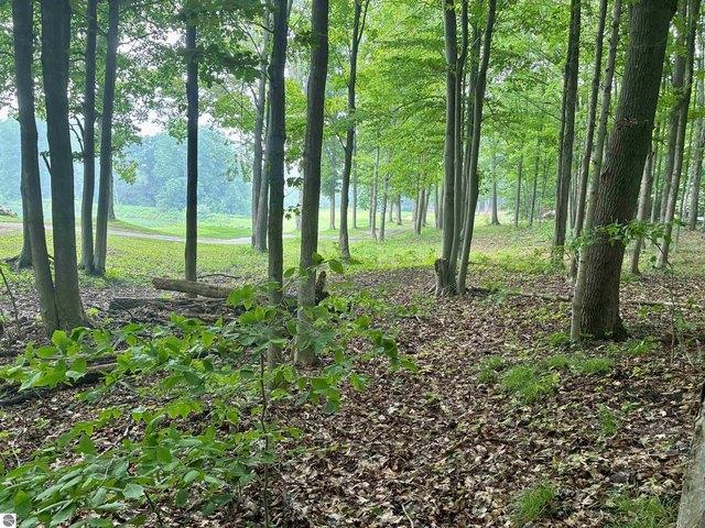 Land for sale in Bellaire, Michigan