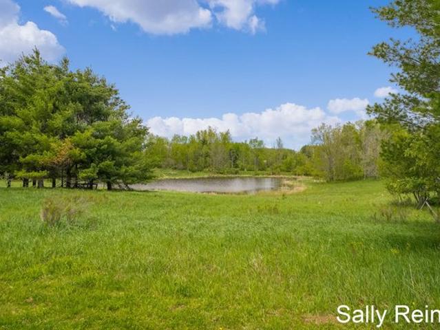 Land for sale in Reed City, Osceola County