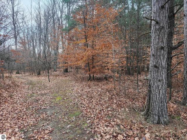 Land for sale in Michigan