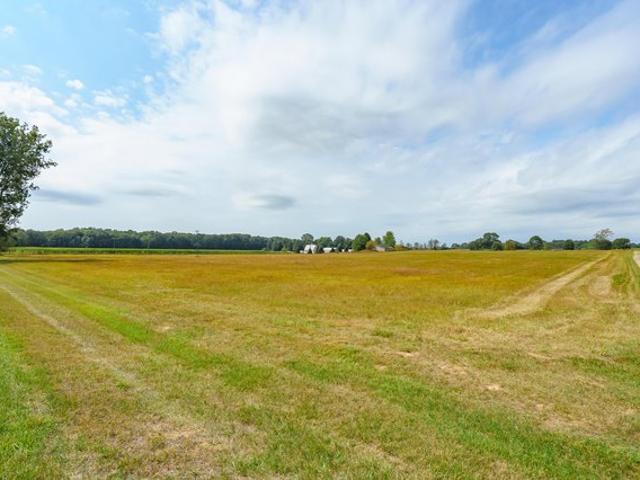 Land for sale in Plainwell, Allegan County