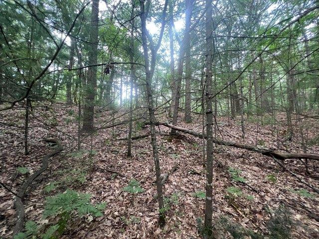 Land for sale in Pentwater, Michigan