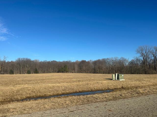 Land for sale in Tuscola, Michigan