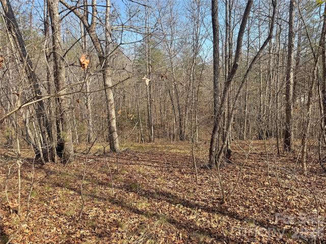 Land for sale in Rutherford, North Carolina