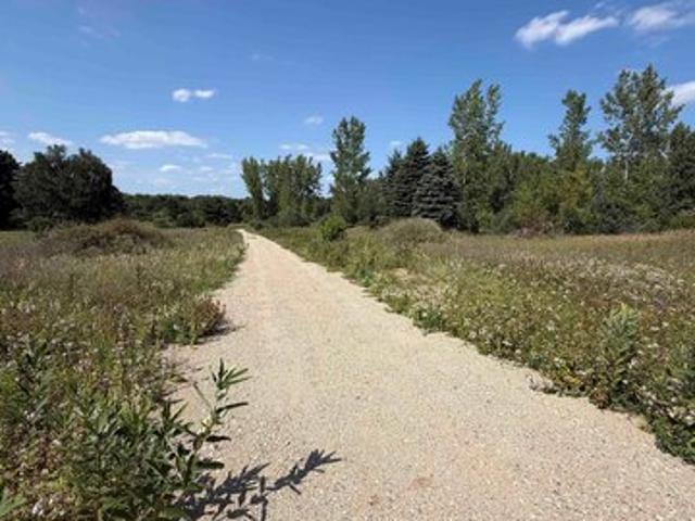 Land for sale in Tuscola, Michigan