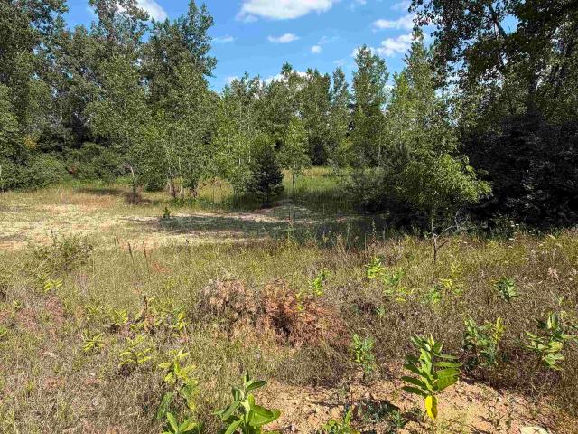 Land for sale in Tuscola, Michigan