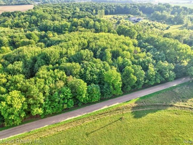 Land for sale in Tuscola, Michigan