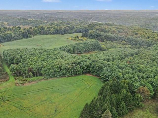 Land for sale in Eaton, Michigan