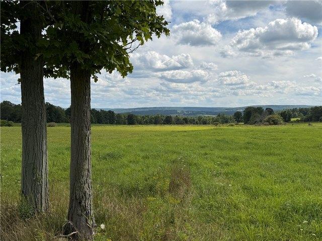 Land for sale in Fillmore, Town of Hume