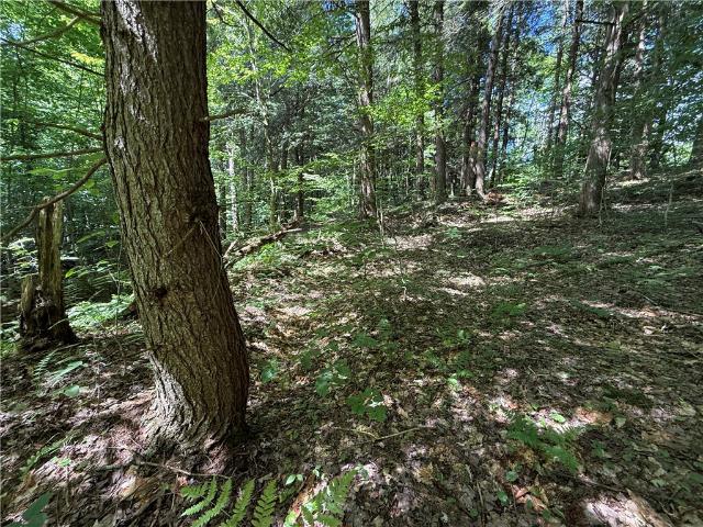 Land for sale in Town of Redfield, Oswego County