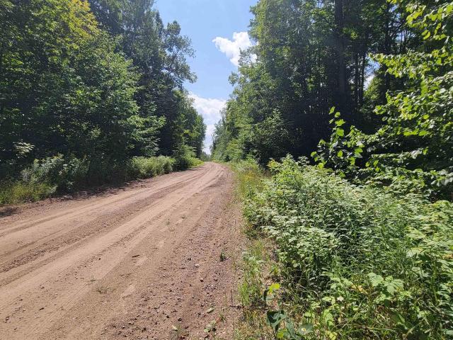 Land for sale in Nunda Township, Cheboygan County
