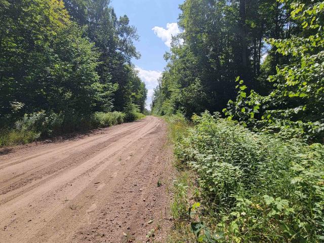Land for sale in Nunda Township, Cheboygan County
