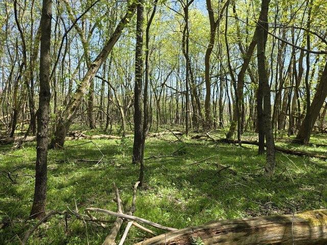 Land for sale in Eaton, Michigan