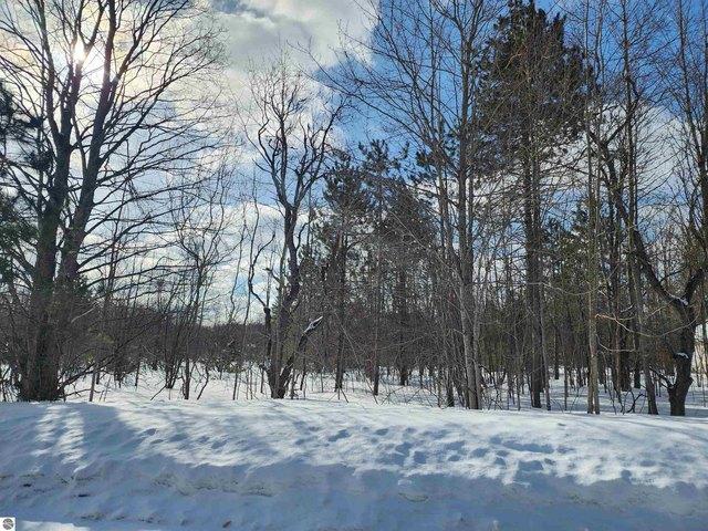 Land for sale in Mancelona, Michigan