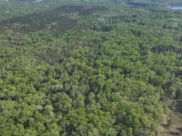 Land for sale in Michigan