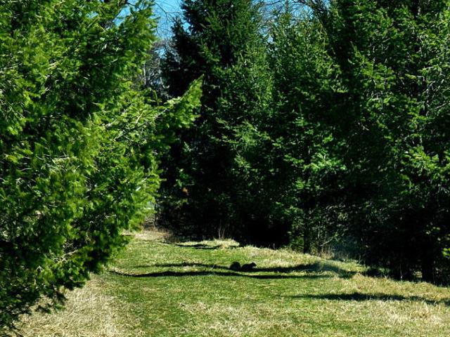 Land for sale in Arcadia, Arcadia Township