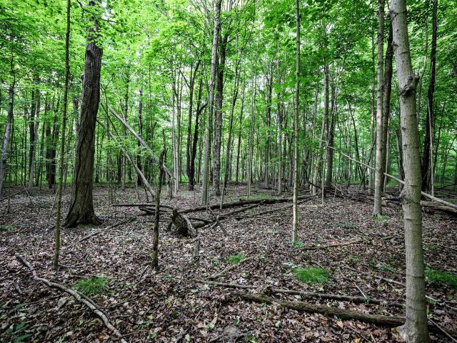 Land for sale in Bangor, Michigan