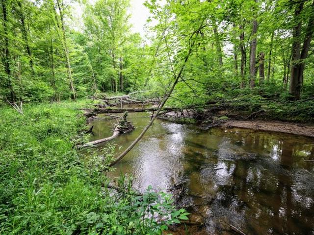 Land for sale in Bangor, Michigan