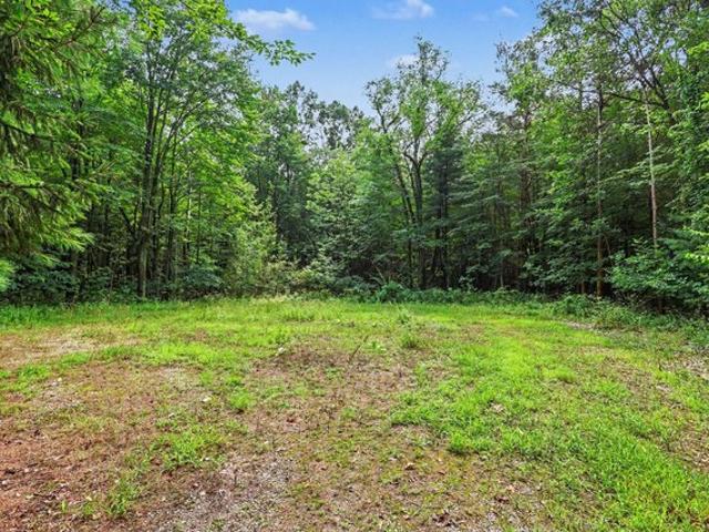 Land for sale in Michigan
