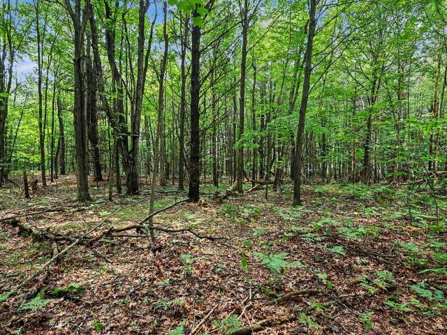 Land for sale in Michigan